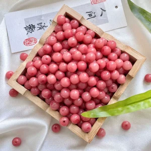 A02 10mm pink bodhi beads